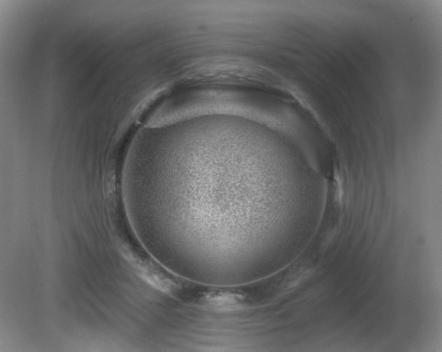 X0000081580407200701151248