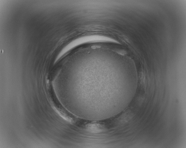 X0000081580408200701151248