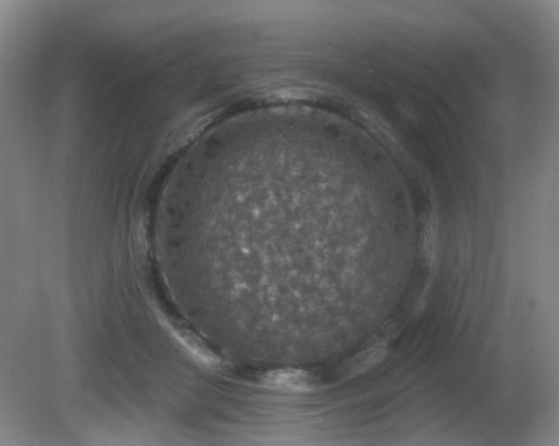 X0000081580410200701151248