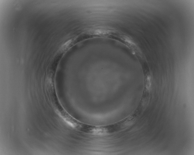 X0000081580415200701151248