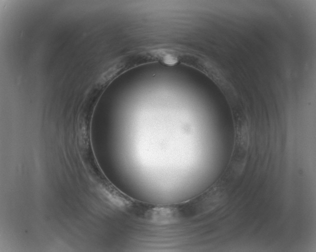 X0000081580418200701151248