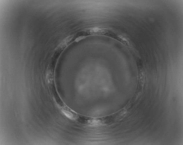 X0000081580419200701151248