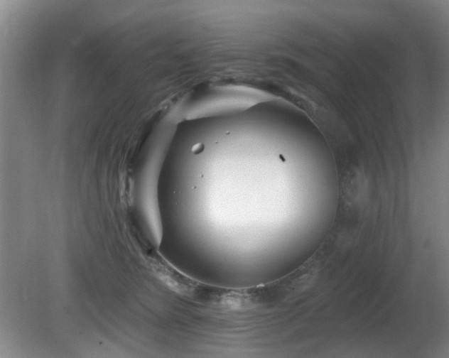 X0000081580420200701151248