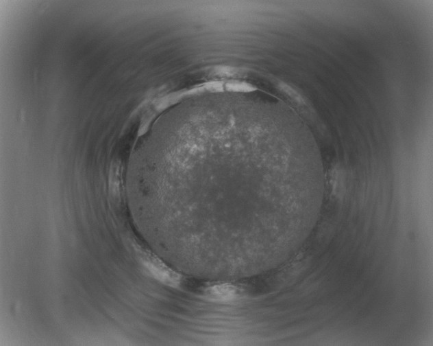 X0000081580423200701151248