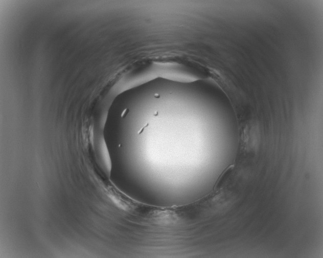 X0000081580424200701151248