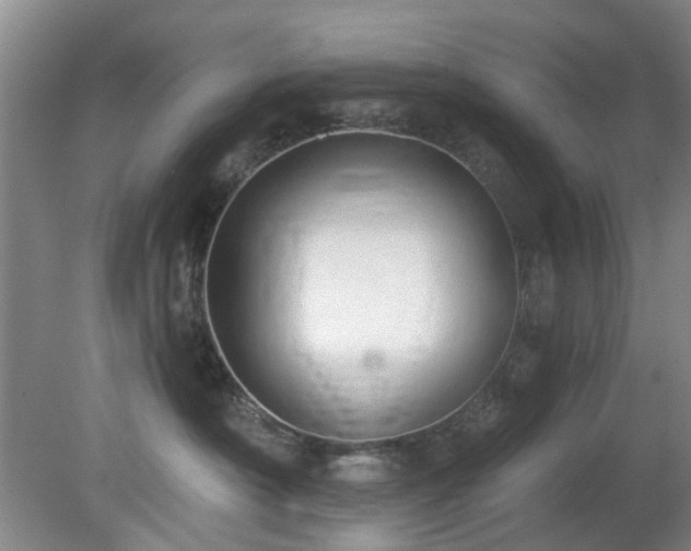 X0000081580430200701151248