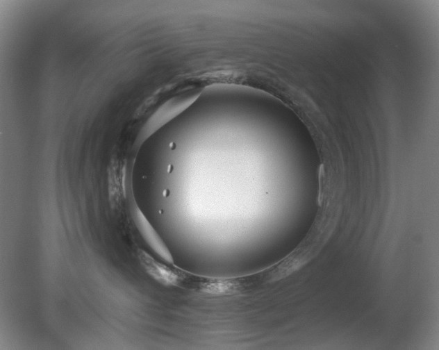 X0000081580432200701151248