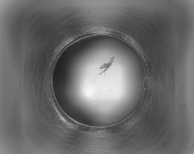 X0000081580433200701151247