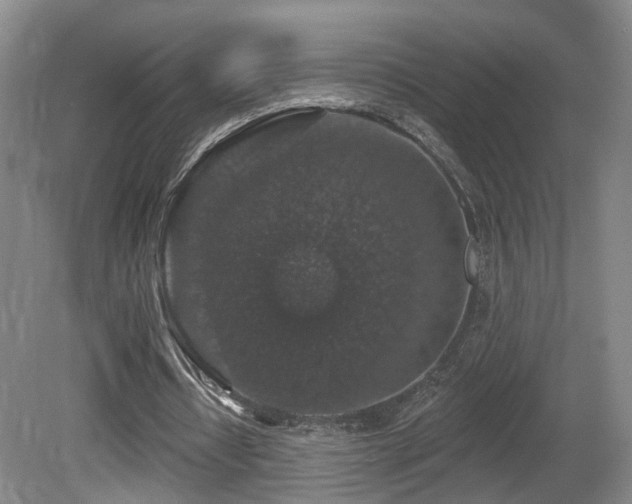 X0000081580434200701151247