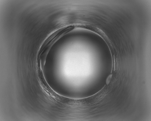 X0000081580435200701151247