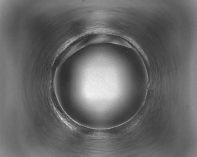 X0000081580437200701151247