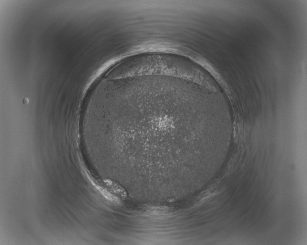 X0000081580438200701151247