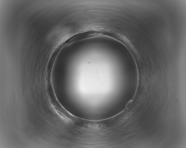 X0000081580439200701151247