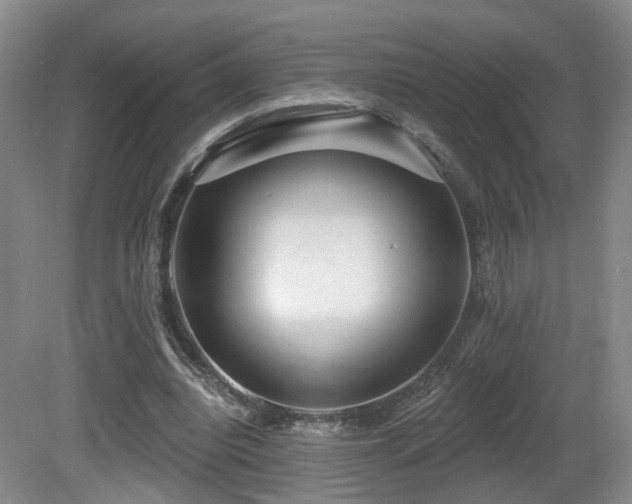 X0000081580440200701151247