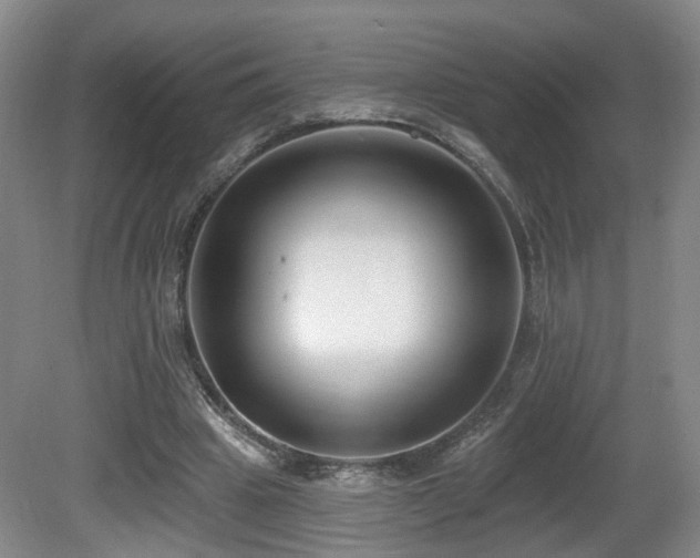 X0000081580441200701151247