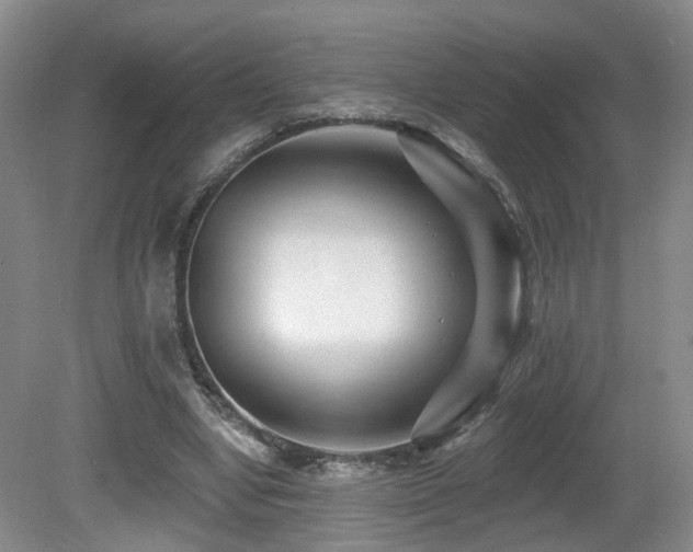 X0000081580442200701151247