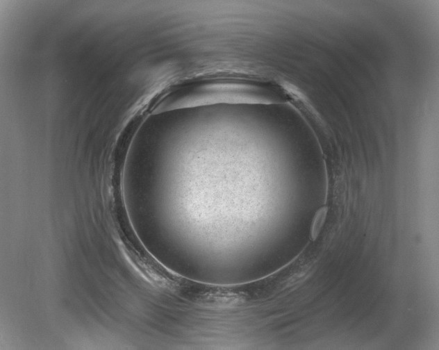 X0000081580443200701151247