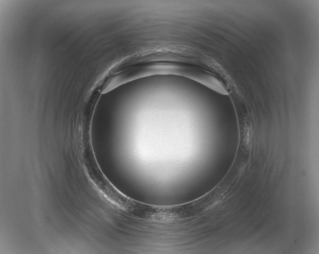 X0000081580444200701151247