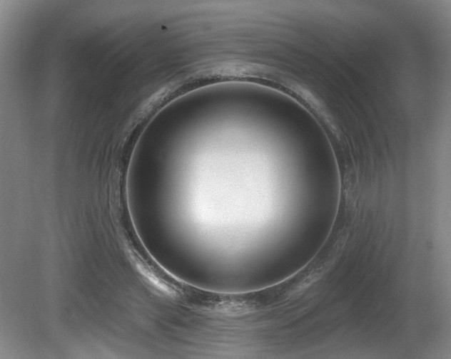 X0000081580445200701151247