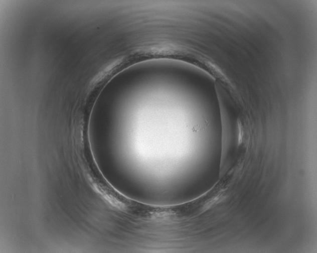 X0000081580446200701151247