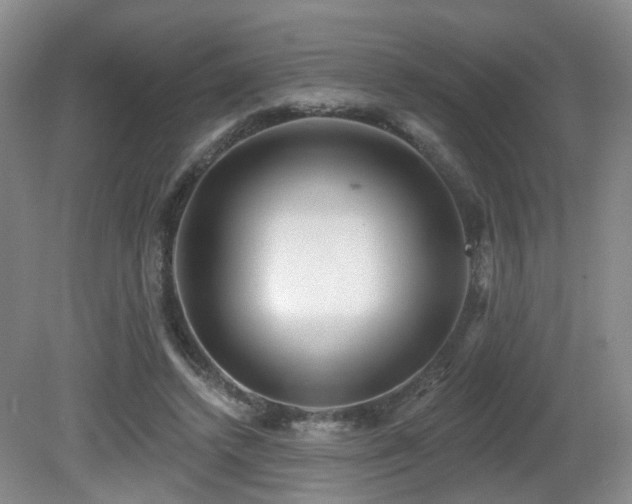 X0000081580448200701151247