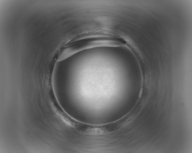 X0000081580449200701151247