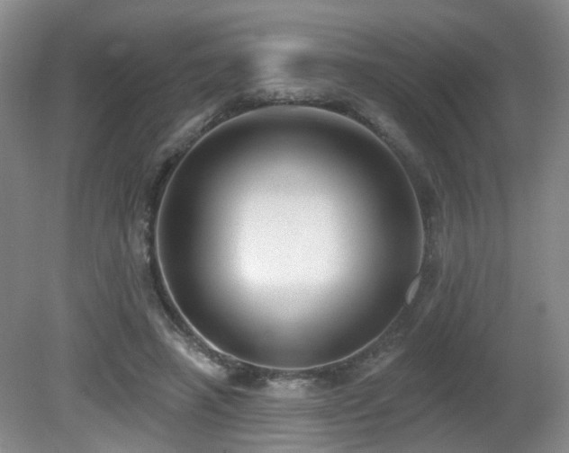 X0000081580450200701151247