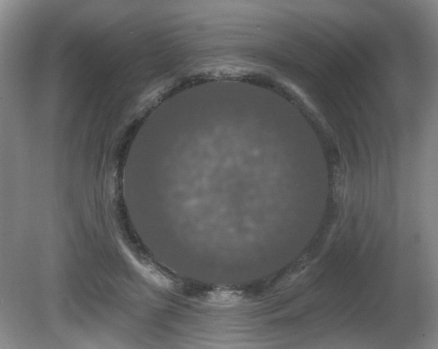 X0000081580451200701151247