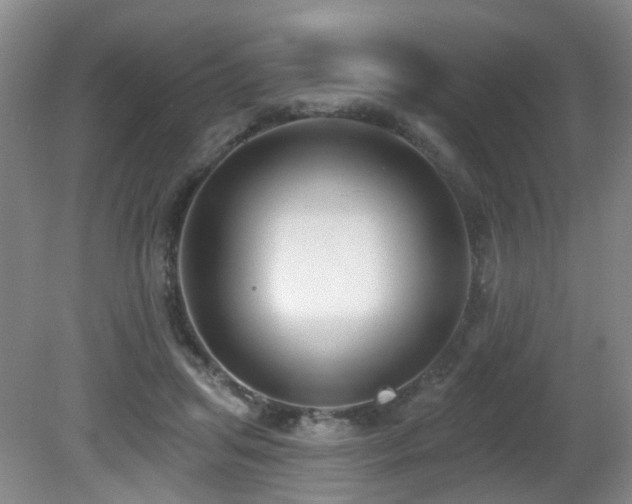 X0000081580455200701151247