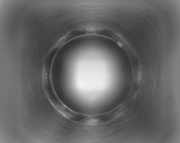 X0000081580456200701151247