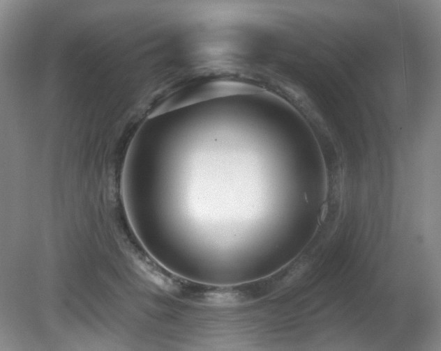 X0000081580457200701151247