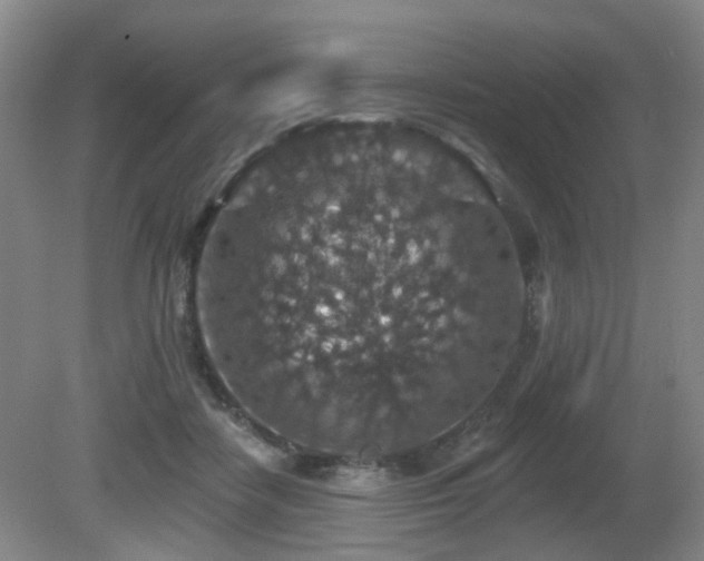 X0000081580458200701151247