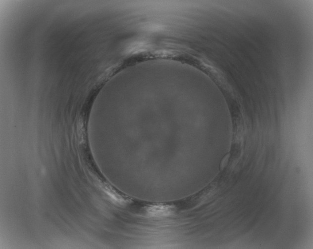 X0000081580465200701151247