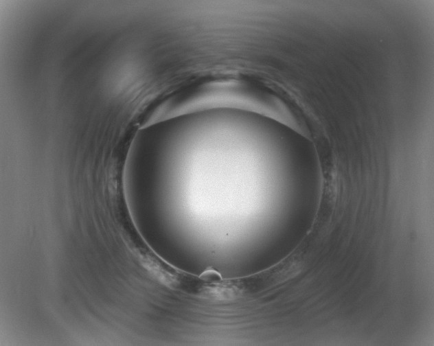 X0000081580466200701151247