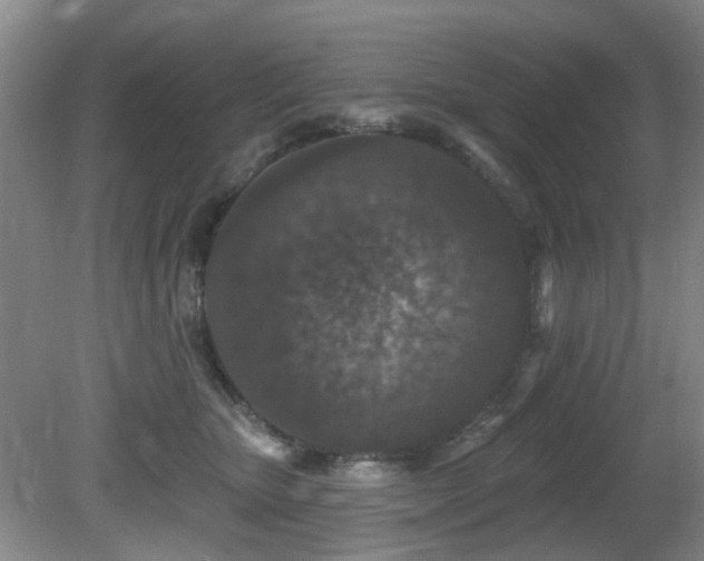 X0000081580467200701151247