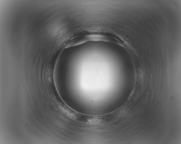 X0000081580470200701151247