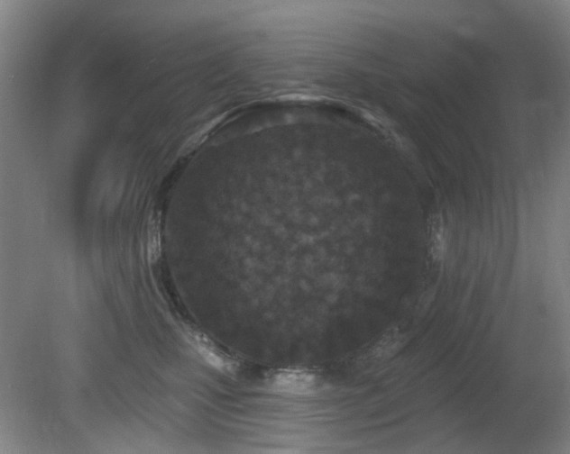 X0000081580471200701151248