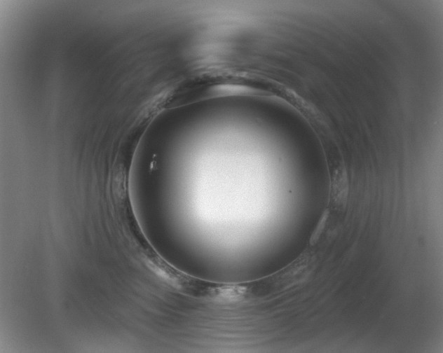 X0000081580474200701151248