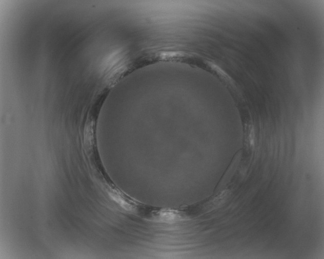 X0000081580475200701151248