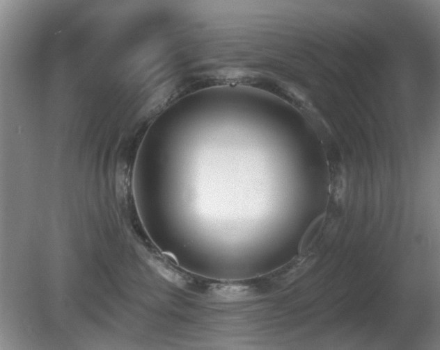 X0000081580476200701151248