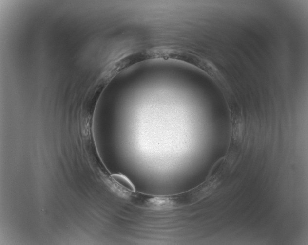 X0000081580477200701151248