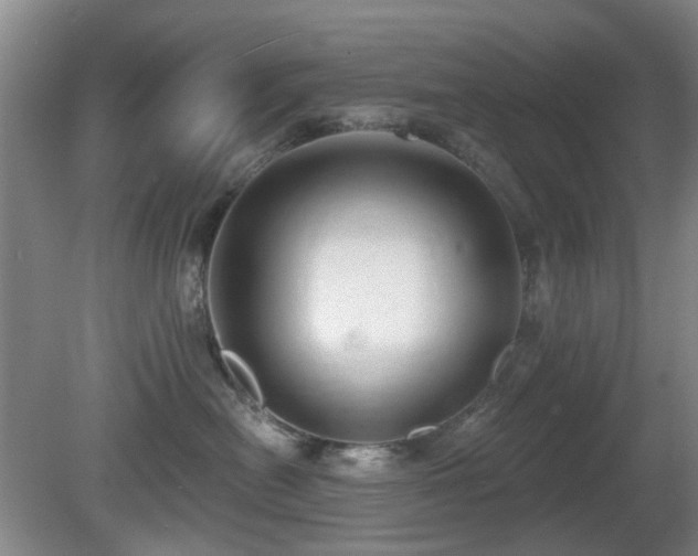 X0000081580478200701151248