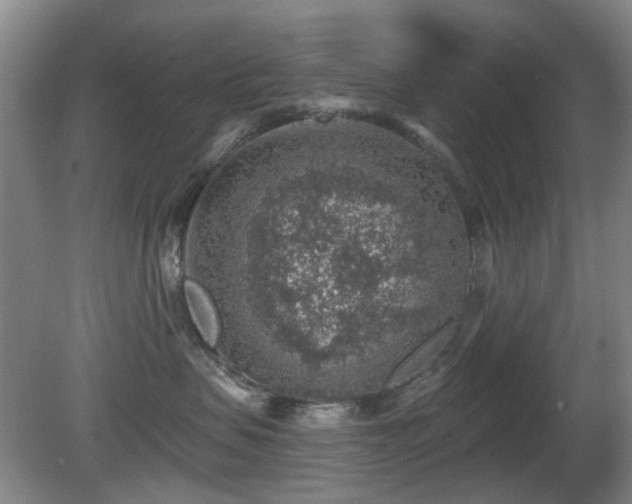 X0000081580479200701151248