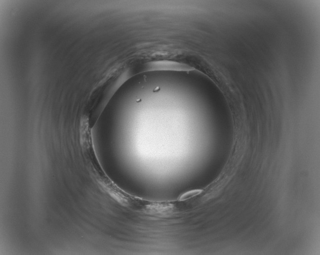 X0000081580480200701151248