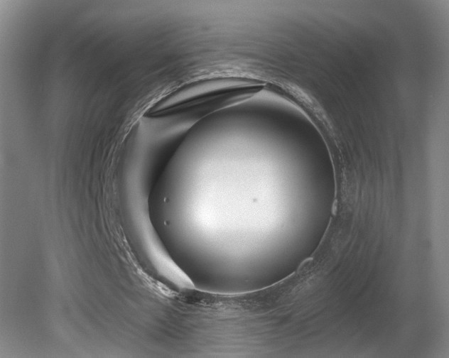 X0000081580481200701151247