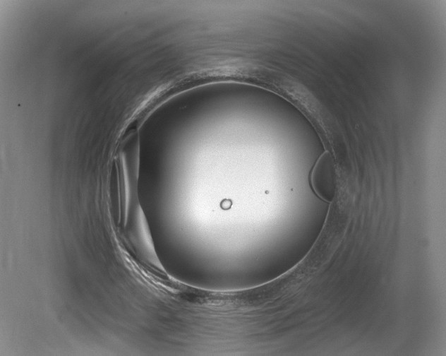 X0000081580482200701151247