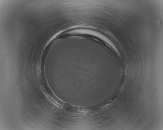 X0000081580484200701151247