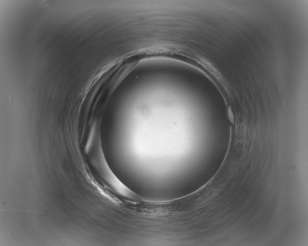 X0000081580485200701151247