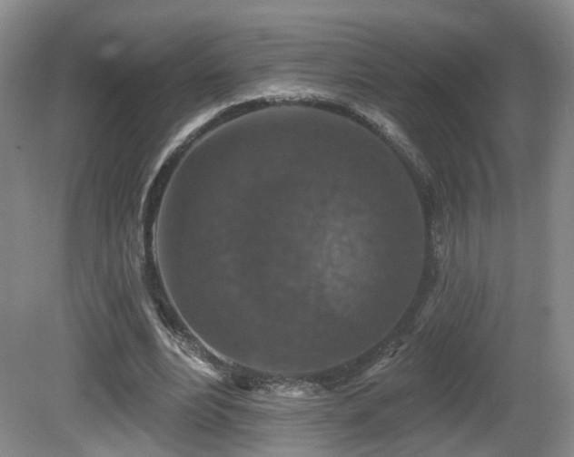 X0000081580488200701151247