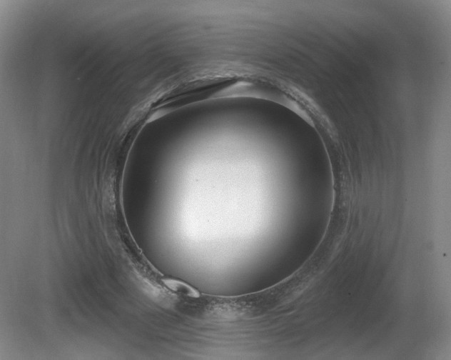 X0000081580489200701151247